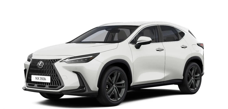 Lexus NX cena 268400 przebieg: 10, rok produkcji 2024 z Krośniewice małe 79